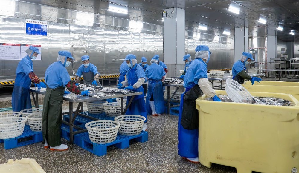 Harvest & Processing