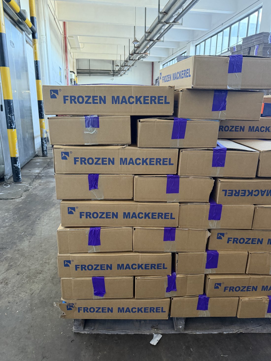 Land-Frozen Horse Mackerel 2