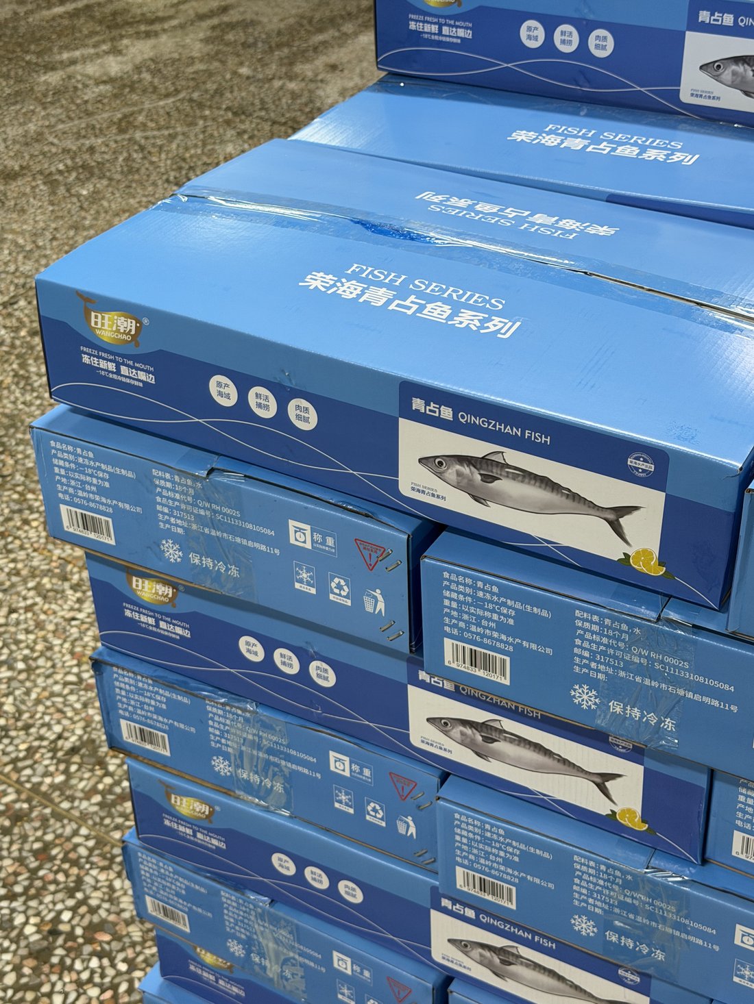 Land-Frozen Mackerel (Arranged BQF) 2
