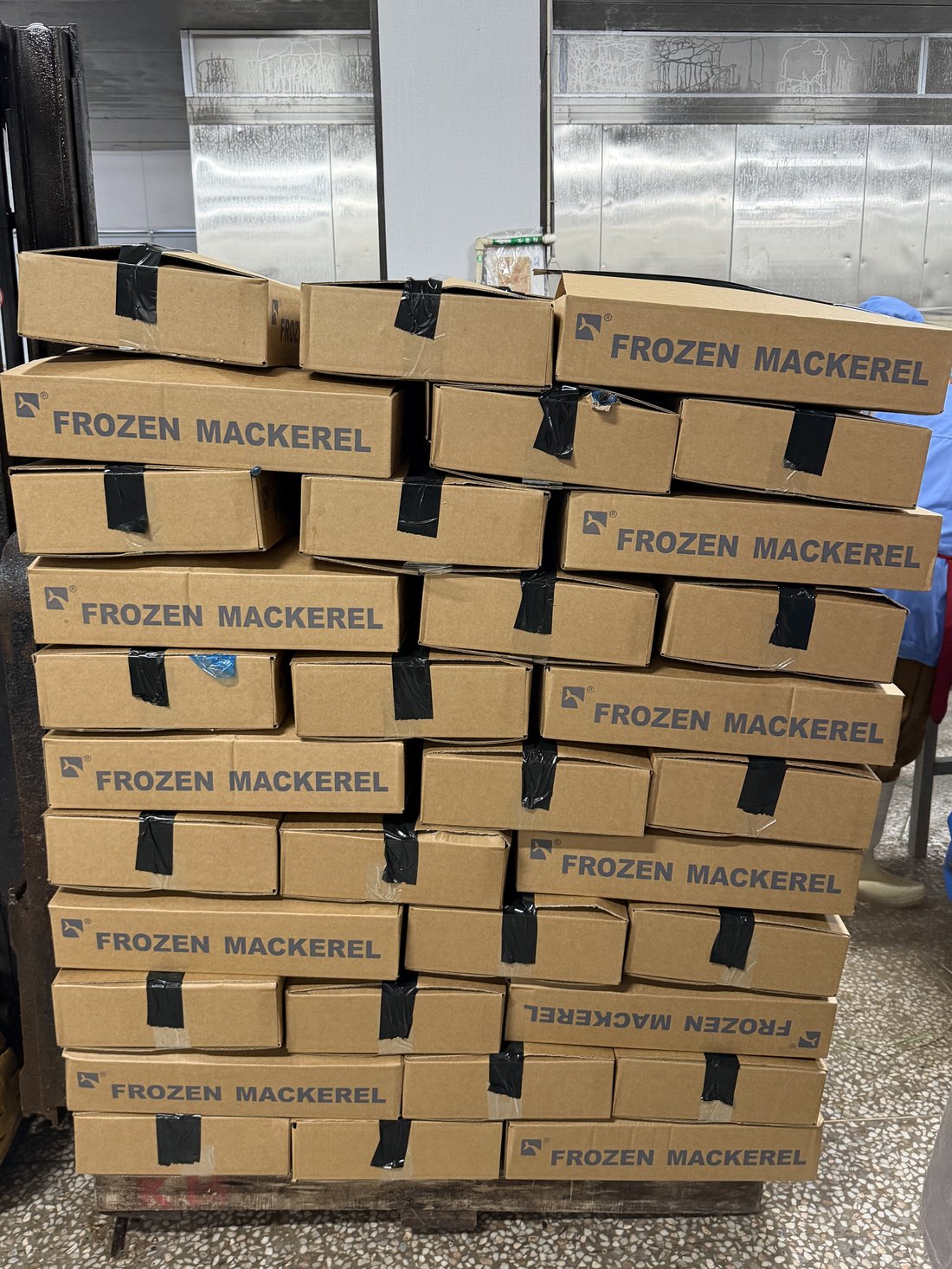 Land-Frozen Mackerel (BQF) 2