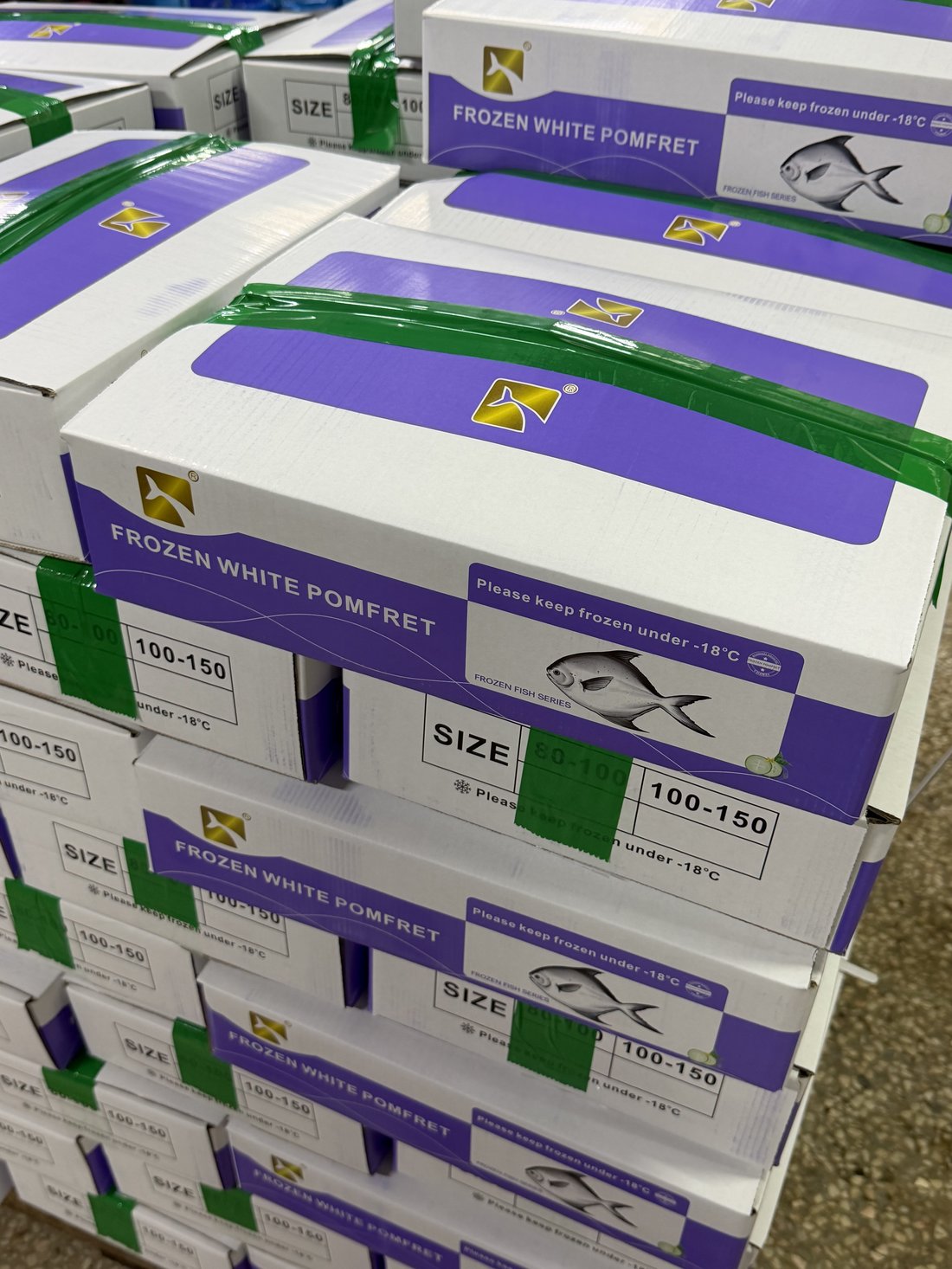 Frozen White Pomfret (IQF) 2